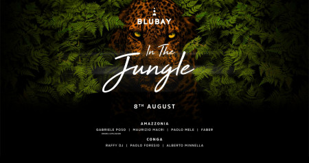 In the Jungle - BLUBAY