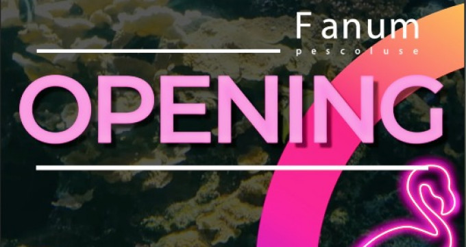 FANUM OPENING