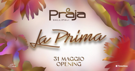 OPENING PARTY