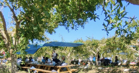 Pasquetta con Ciki Forchetti e i NiteCity Live Band