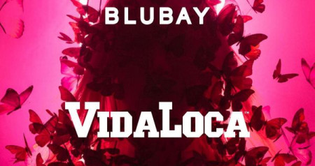 Vidaloca